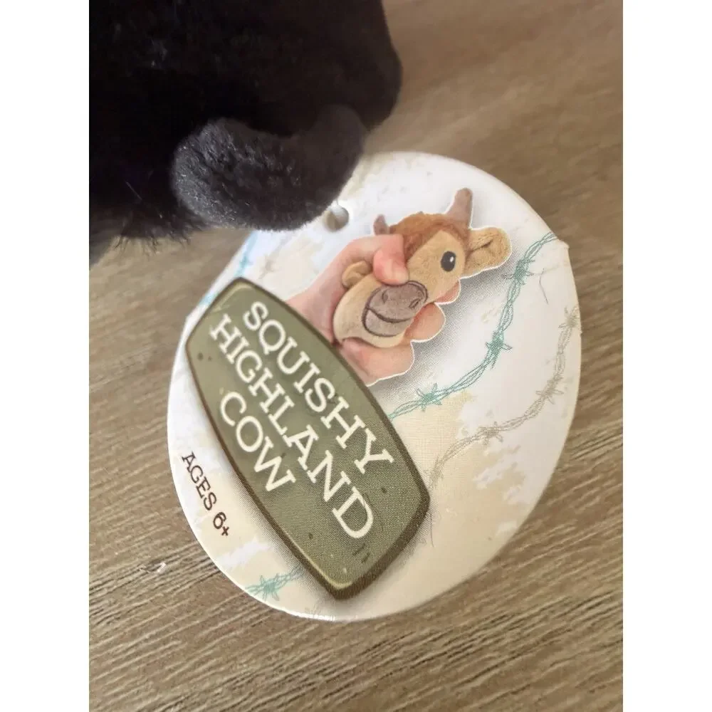 Gener8 Black Highland Cow Maltose Filled Squishy Plush Sensory Fidget 2026